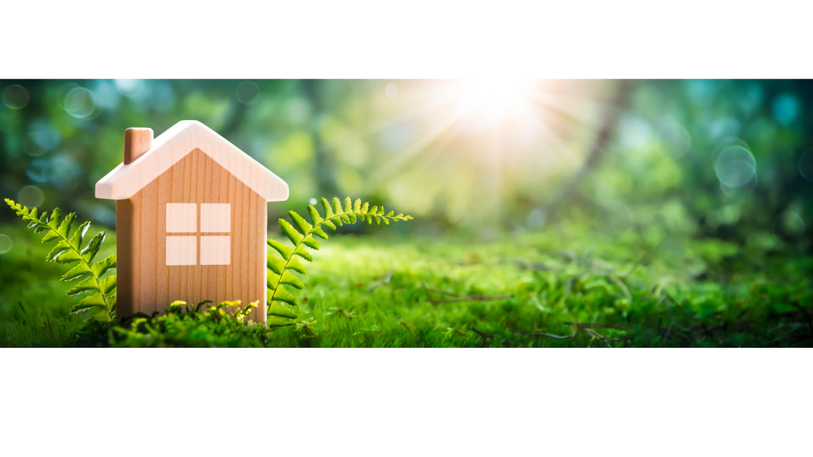Build Your Home, Support Your Community